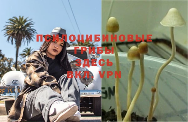 экстази Аркадак