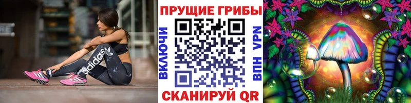Псилоцибиновые грибы Psilocybe как найти закладки Теберда